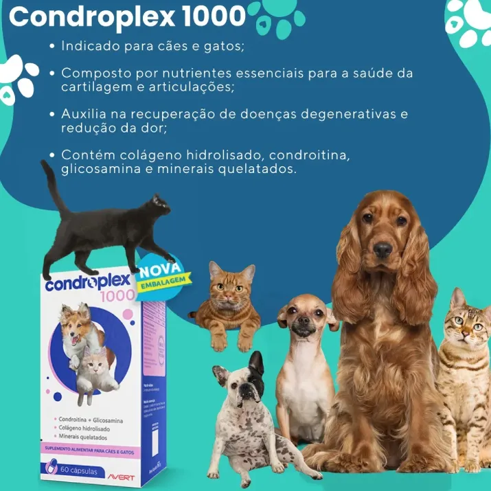 Condroplex 1000 Mg 60 Cápsulas-3.webp