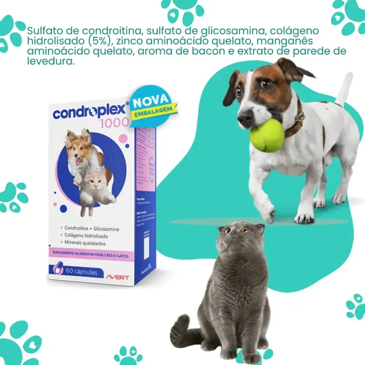 Condroplex 1000 Mg 60 Cápsulas-2.webp