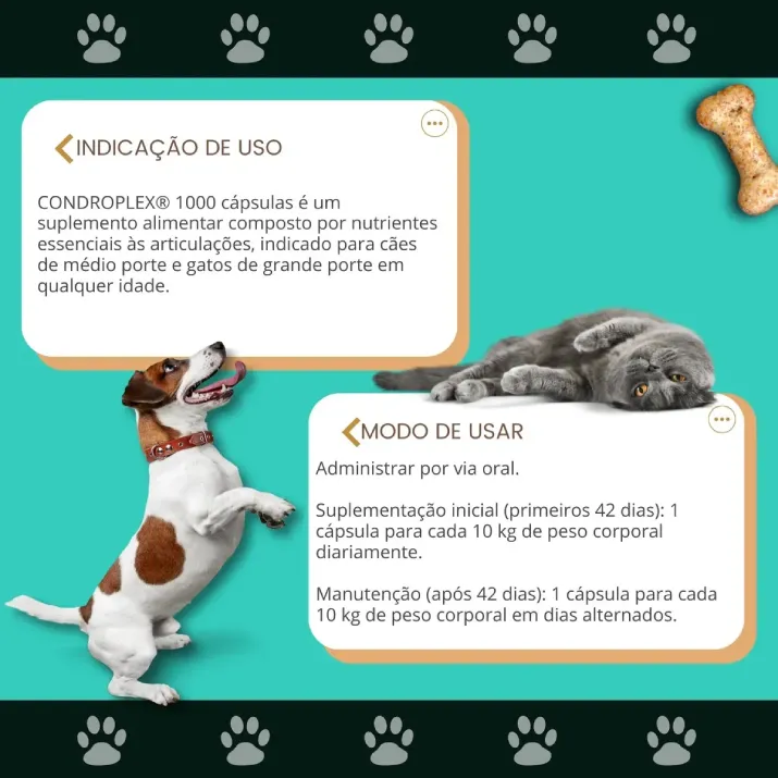 Condroplex 1000 Mg 60 Cápsulas-4.webp