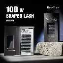 Cílios Decemars 10D W 0.07 Shaped Tray Mix 8-15-3.webp