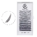 Spire Anime Lash.webp